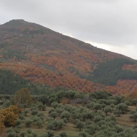 Apartment Mirador De Villuercas