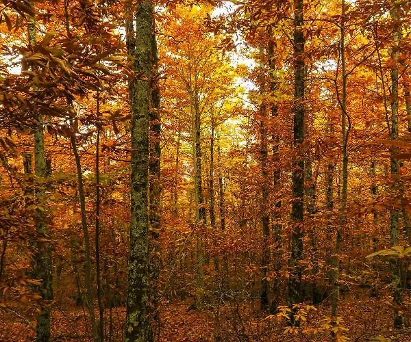 Mirador De Villuercas Апартаменты *