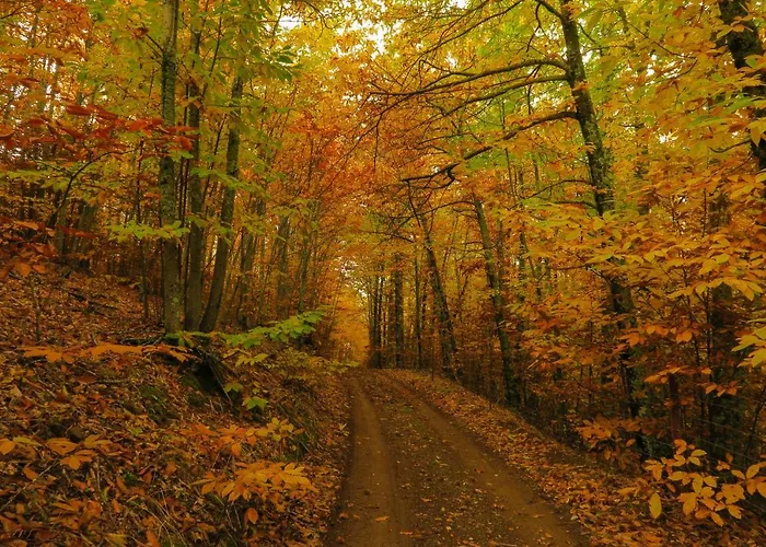 Mirador De Villuercas *
