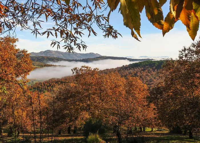 Апартаменты Mirador De Villuercas Гвадалупе