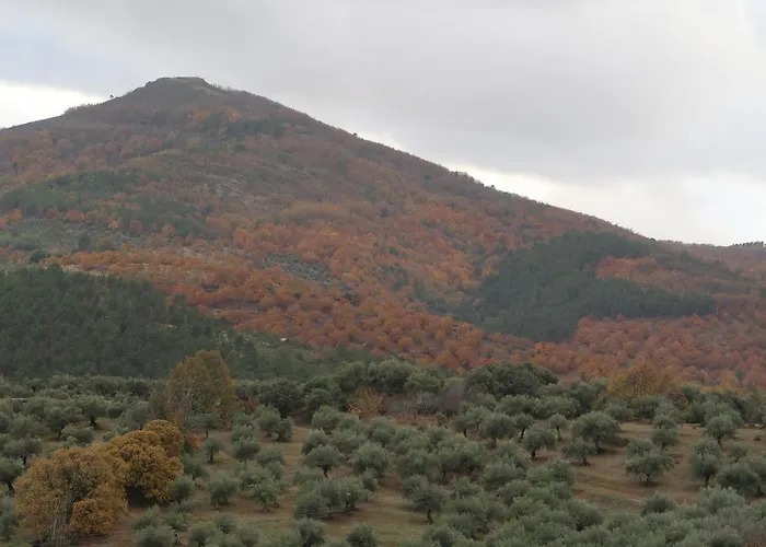 Apartamento Mirador De Villuercas